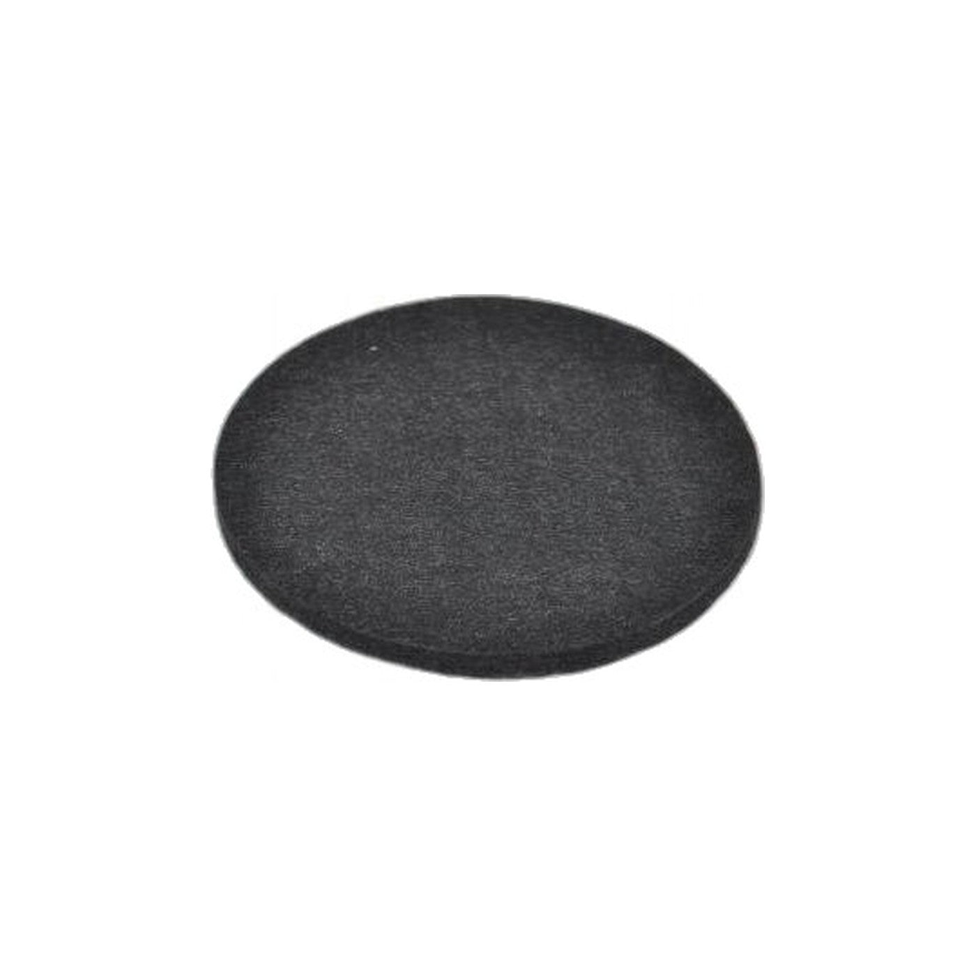 Bissell Post Filter - 1700