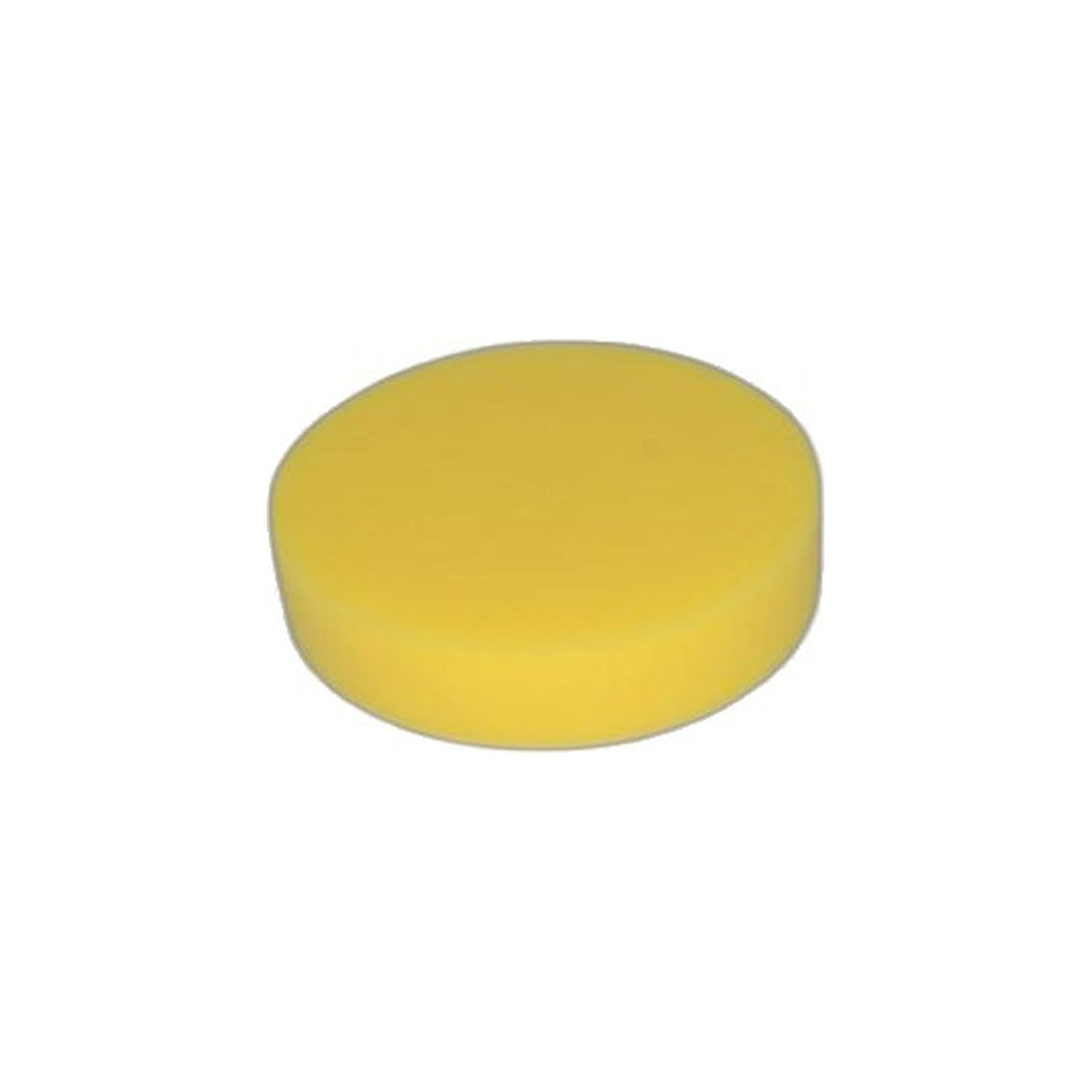 Bissell Foam Yellow Filter