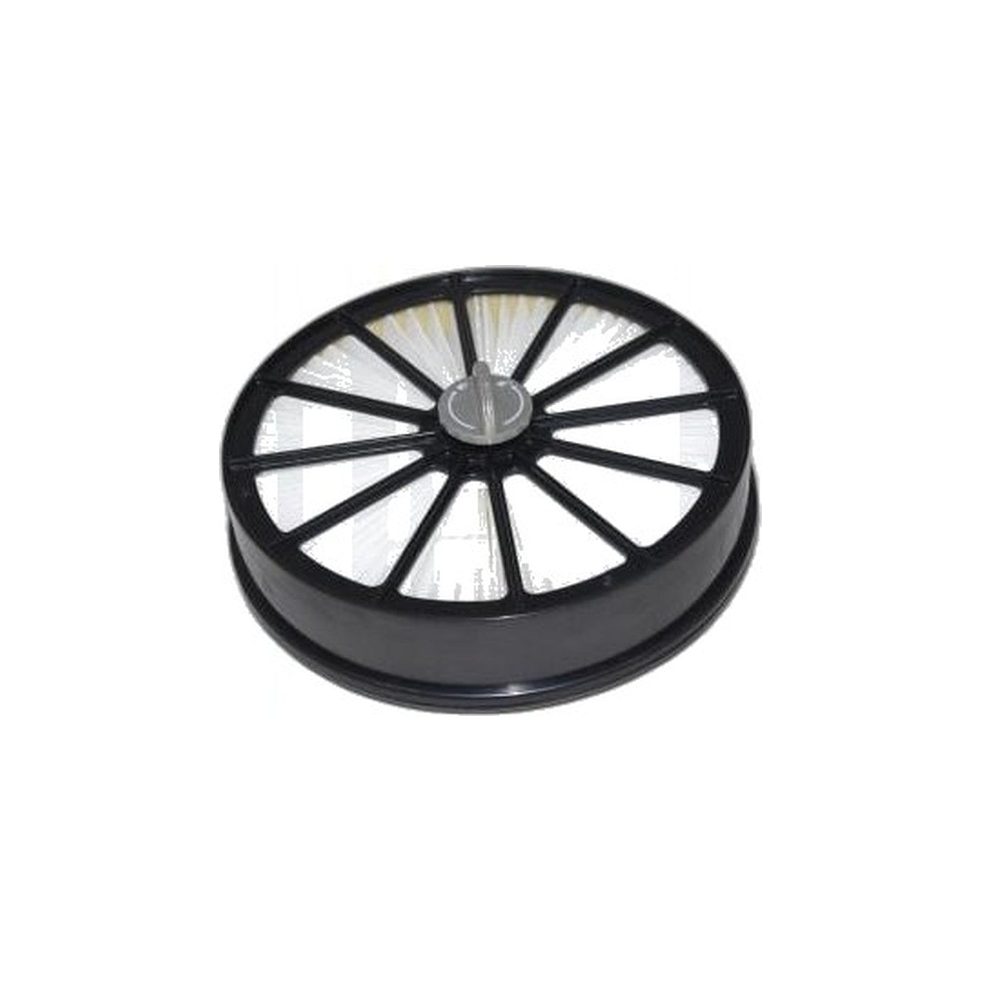 Bissell Pleated Filter - Lift Off Pet