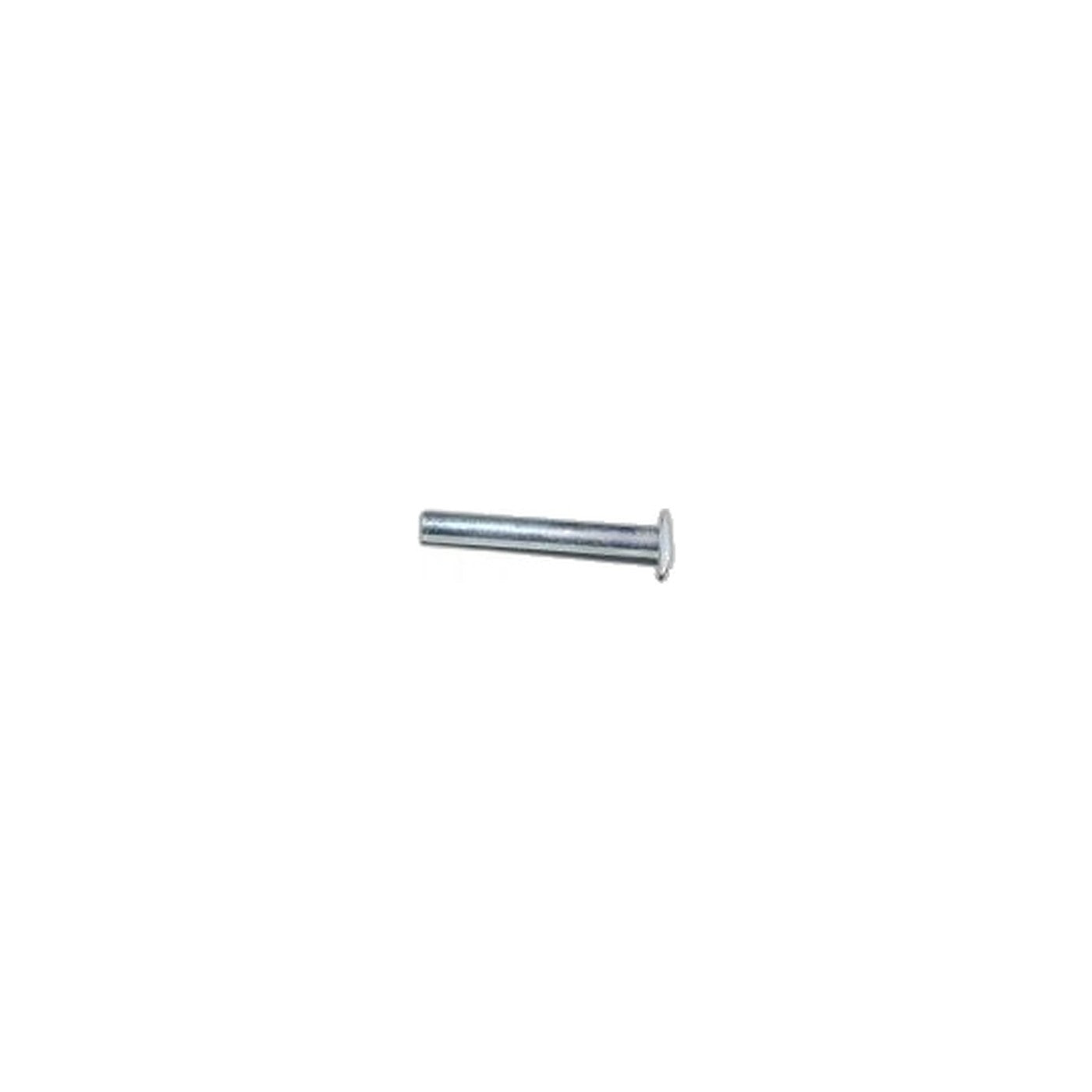 Rivet for Pan Hinge (Need 2)