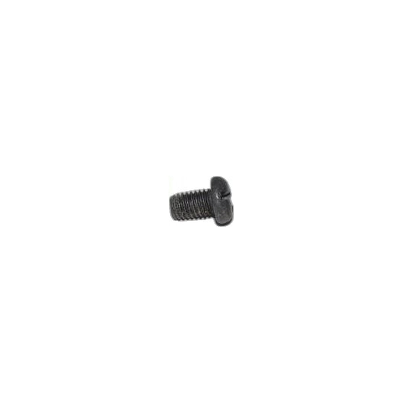 Titan Grounding Screw - T750