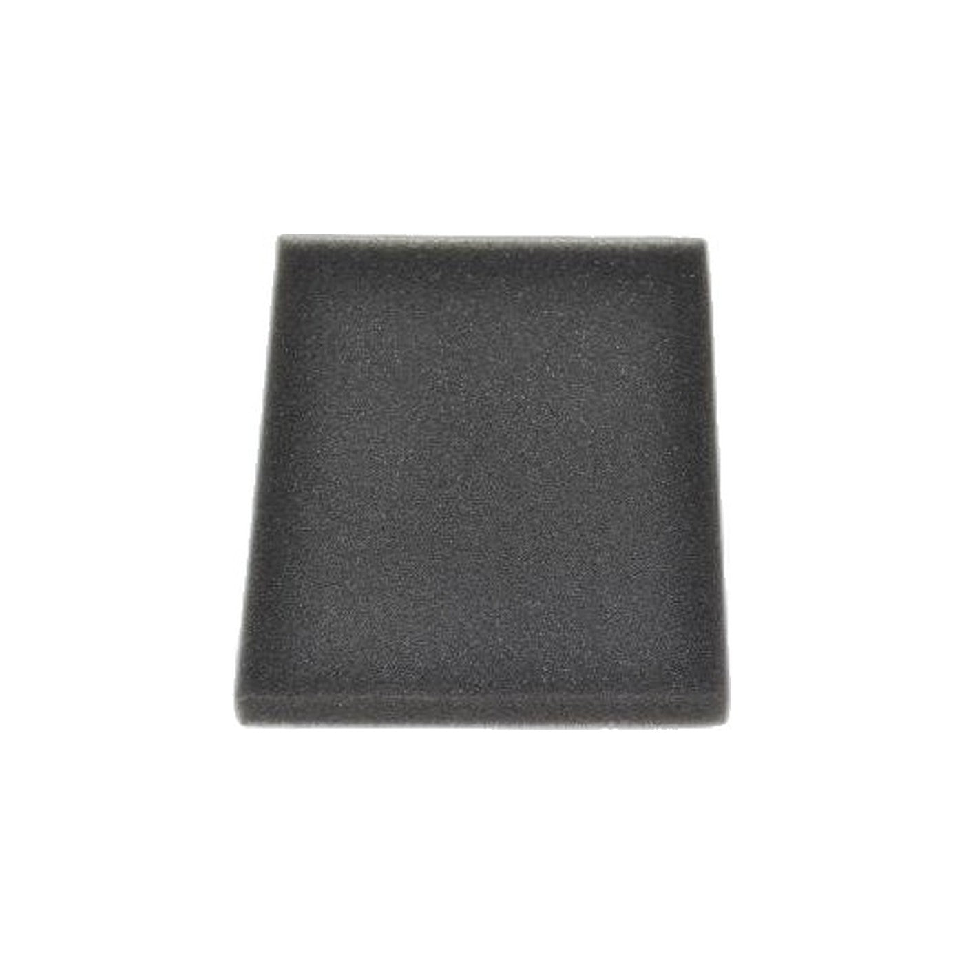 Bissell Secondary Filter - 5770 Healthy Home