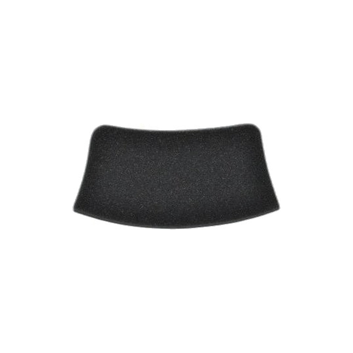 Bissell Canister Post-Motor Filter