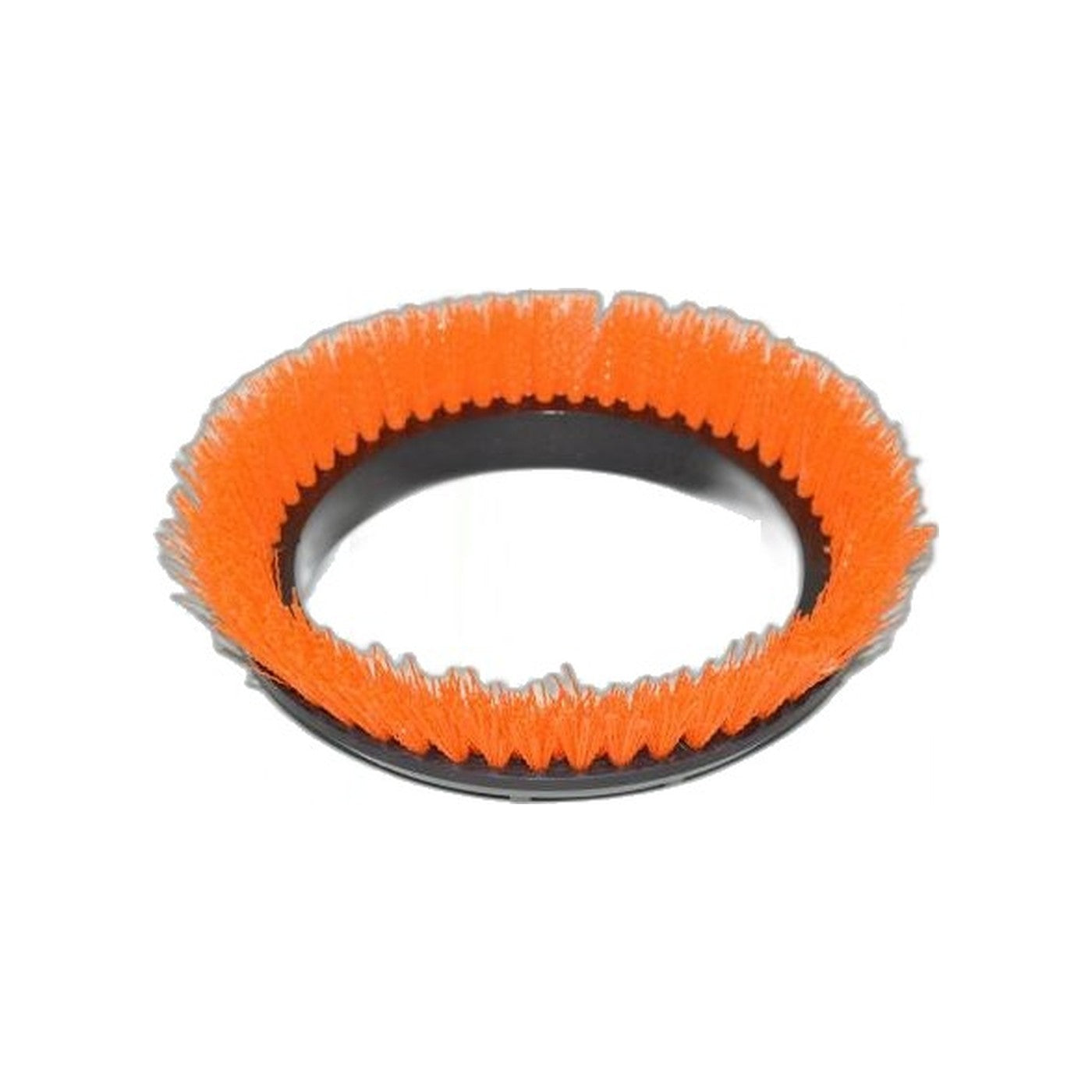 Scrub Brush - Orbiter