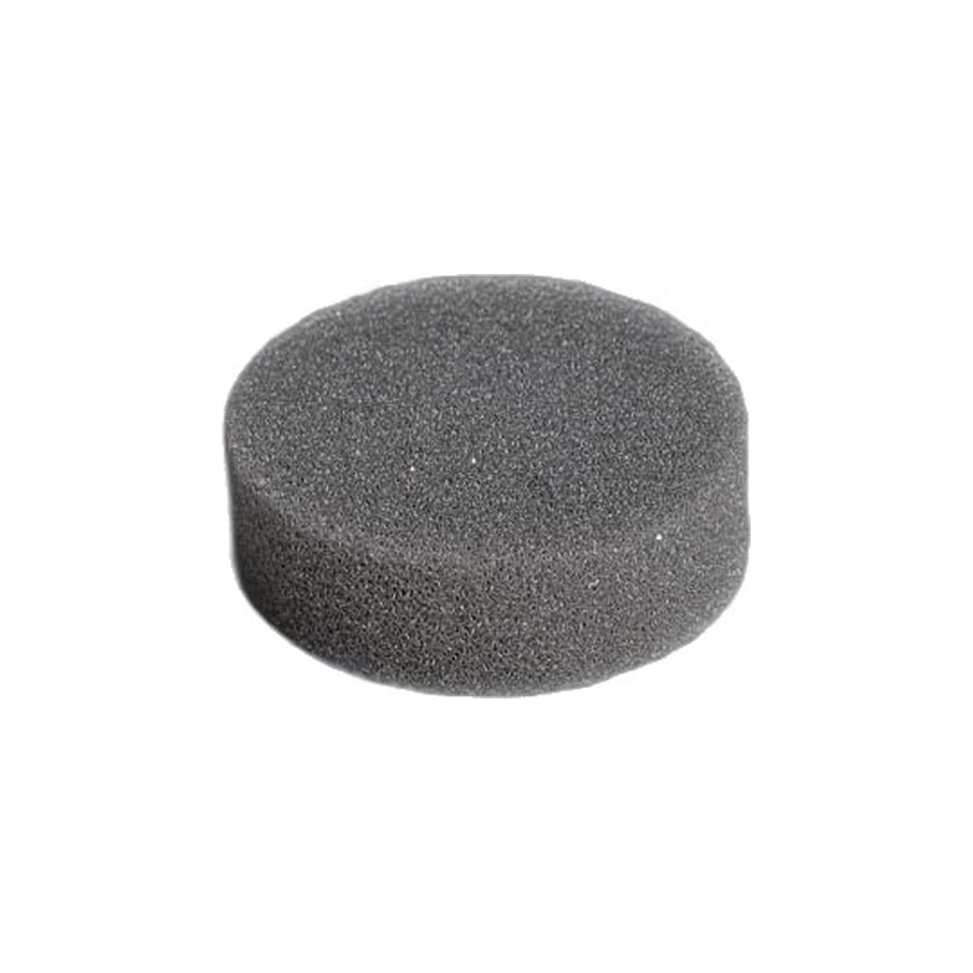 Kirby Rug Rnytr/shampoo Tank Sponge-D50/2CB - II Her I