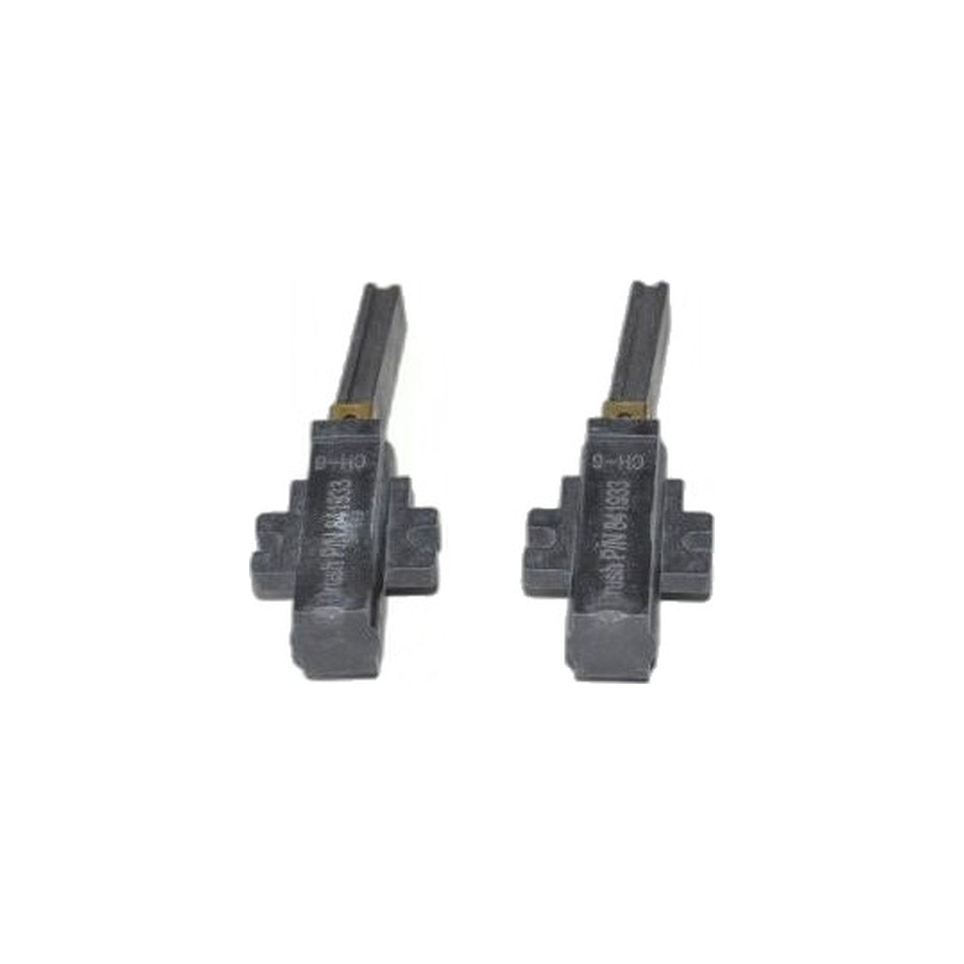ProTeam Carbon Brush - 2 Pack - Lamb Wolong, PRO6, PB10