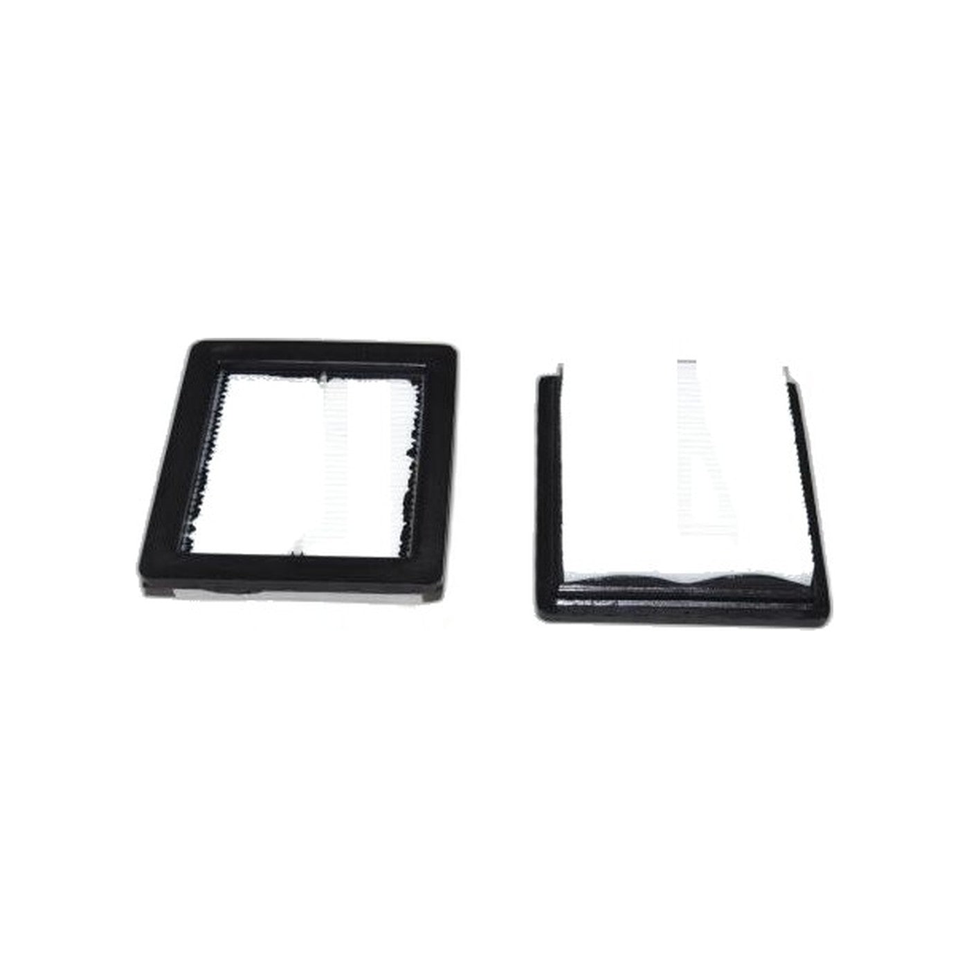 ProTeam HEPA Filter - 2 Pack, Gofit Back Pack