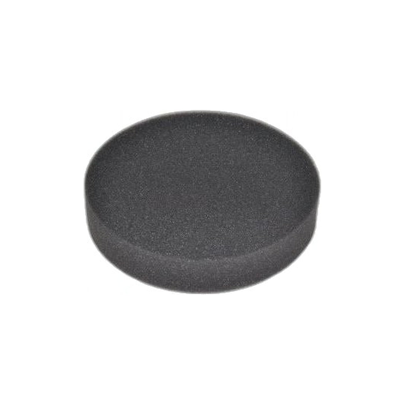 Bissell 1700 Pre-Motor Foam Filter