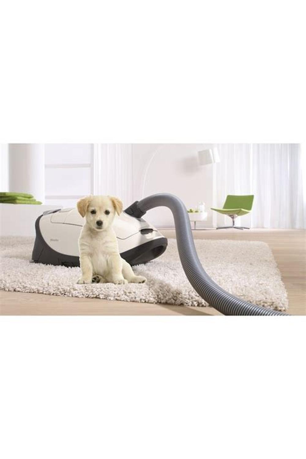 Complete C3 Cat & Dog - Image 4