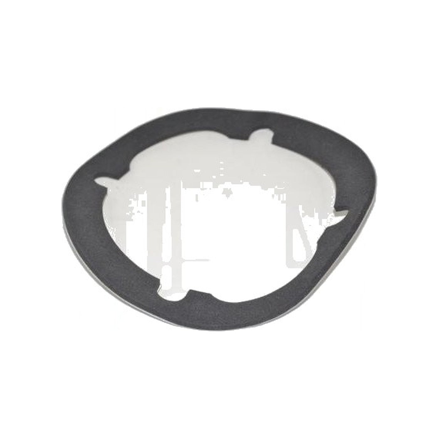 ProTeam Motor Gasket - Sierra / Lil' Hummer Backpack