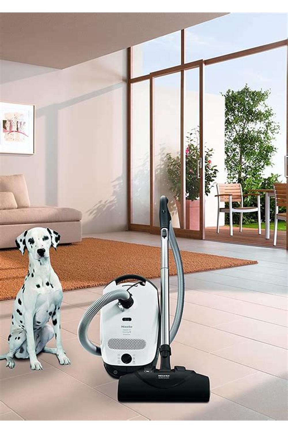 Classic C1 Cat & Dog - Image 4