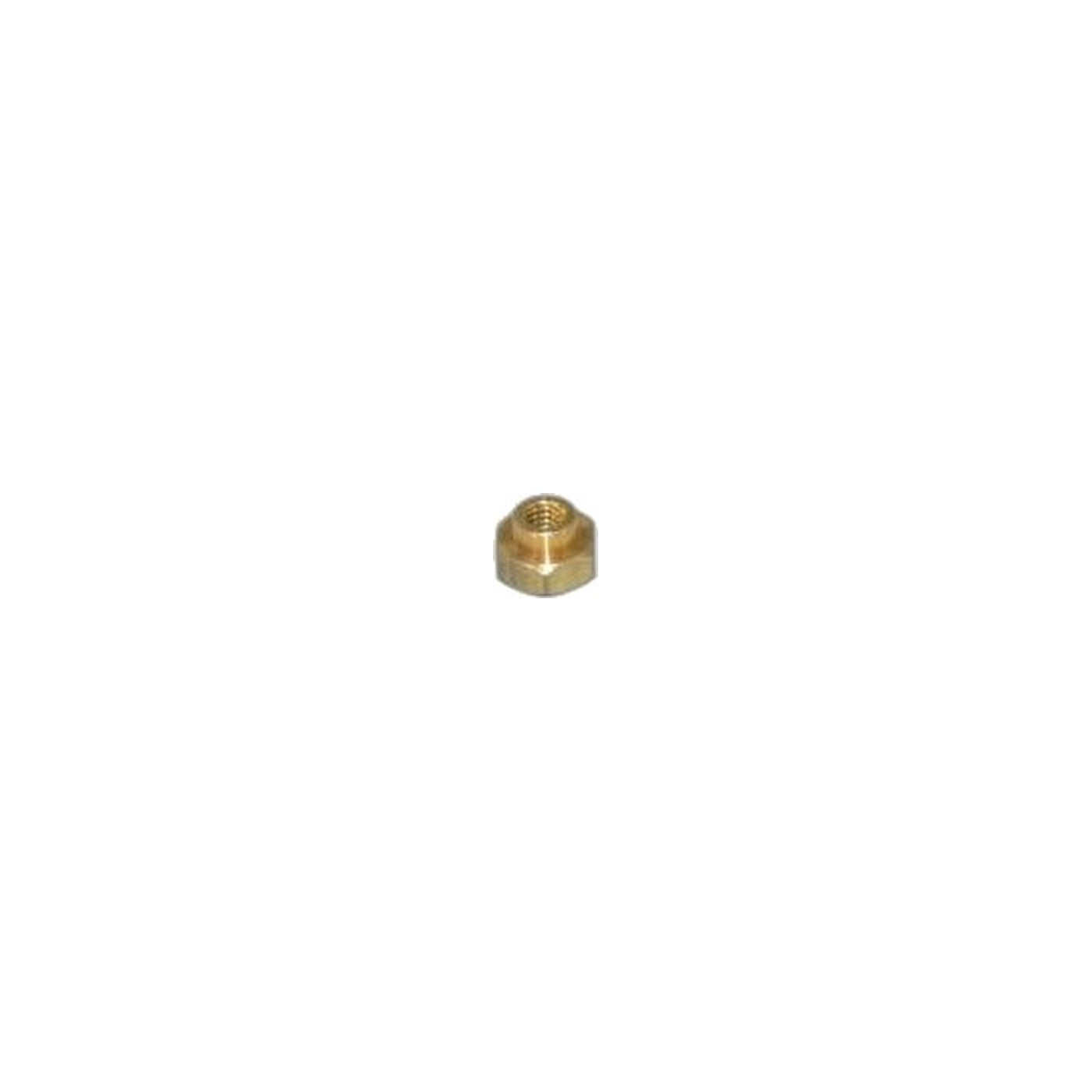 Release Lever Screw Nut - #1170