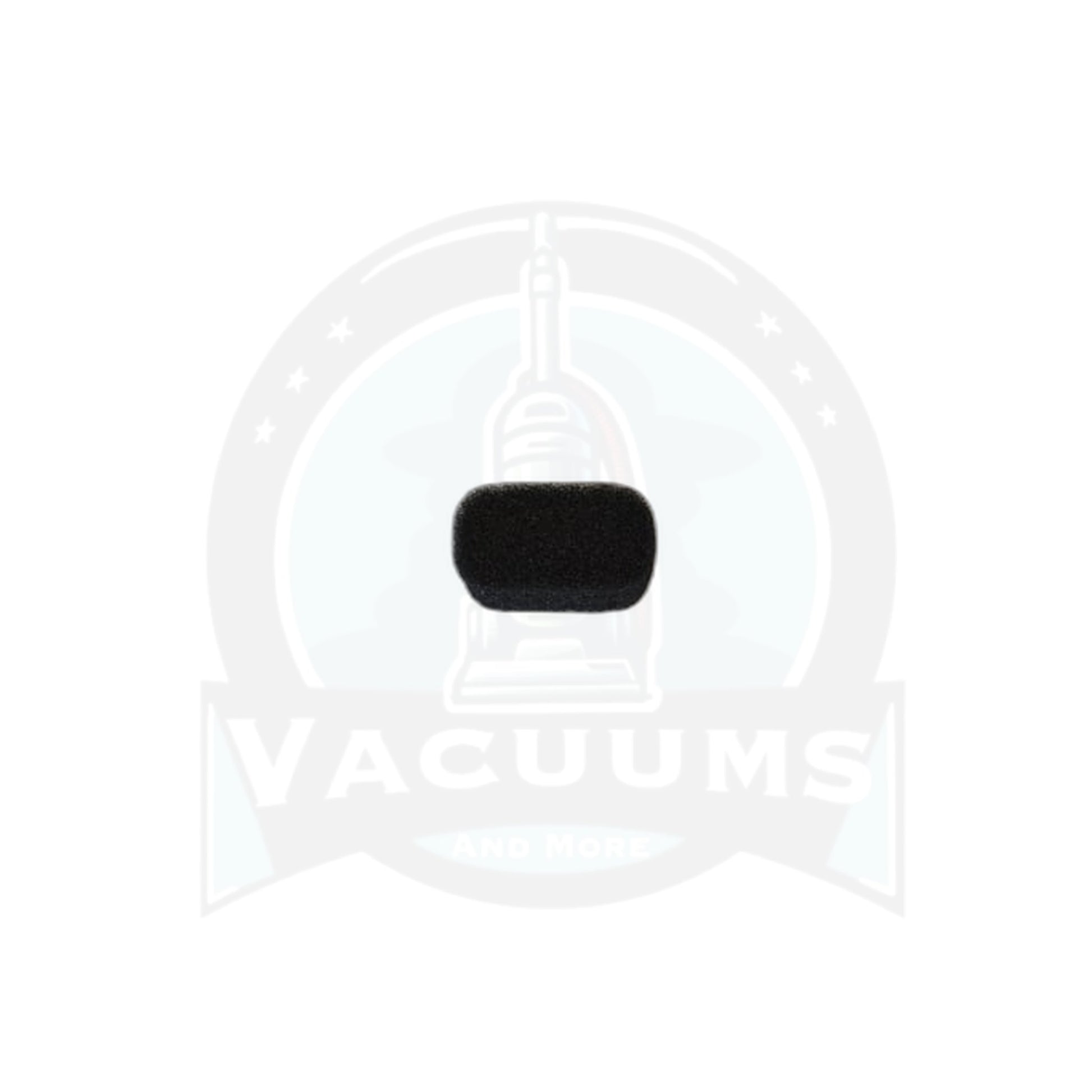 Dirt Devil Easy Steamer Dirty Water Tank Filter - Vacuums and More