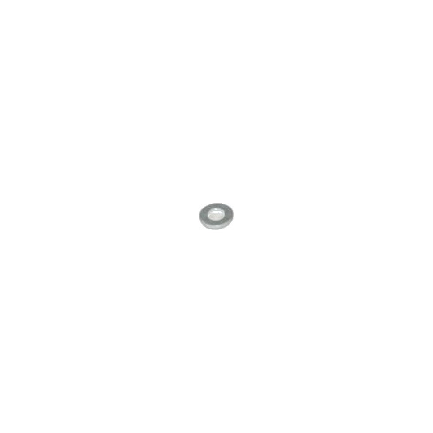 Steel Washer for PN Brush Roll Assembly - 2 Per Assembly
