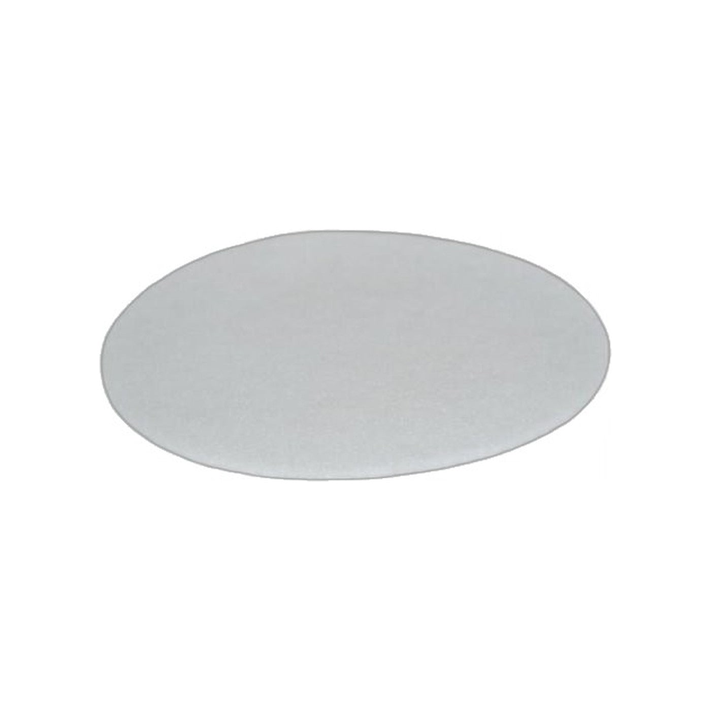 Bissell Secondary Garage Pro Filter
