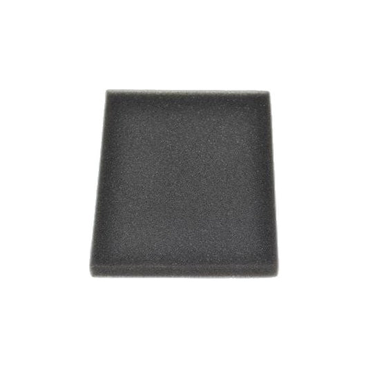 Bissell Secondary Filter - 5770 Healthy Home