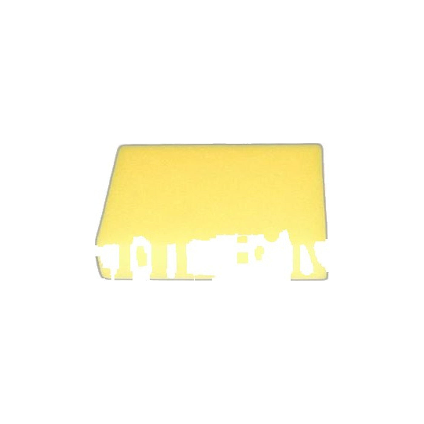 Bissell Foam Upright Filter - 3918