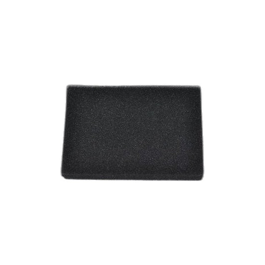 Bissell Foam Pre-Motor Filter - 7700 Big Green