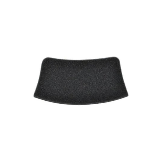 Bissell Canister Post-Motor Filter