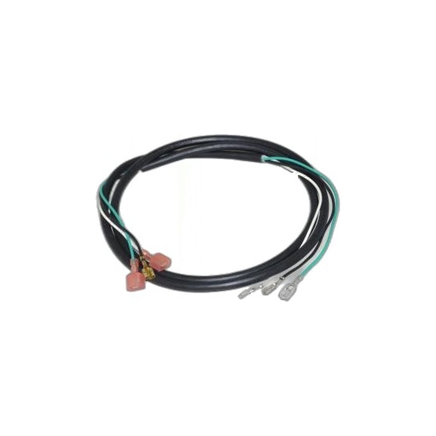 Bissell Electrical Wiring Harness Pro-heat Steamer