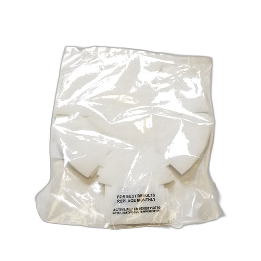 Royal RY4000 Backpack Vacuum Filter 5-Pack, Original