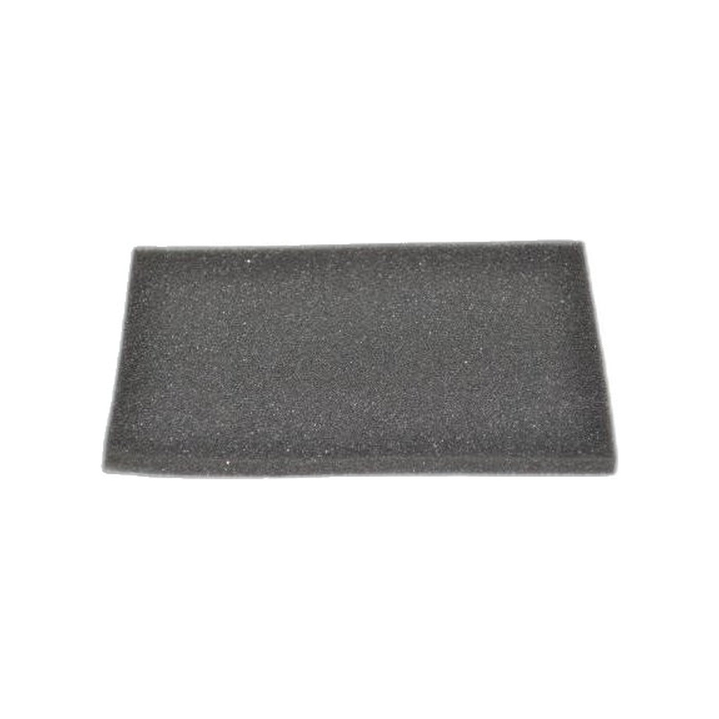 Dirt Devil Exhaust Filter - SD30035 Express Canister