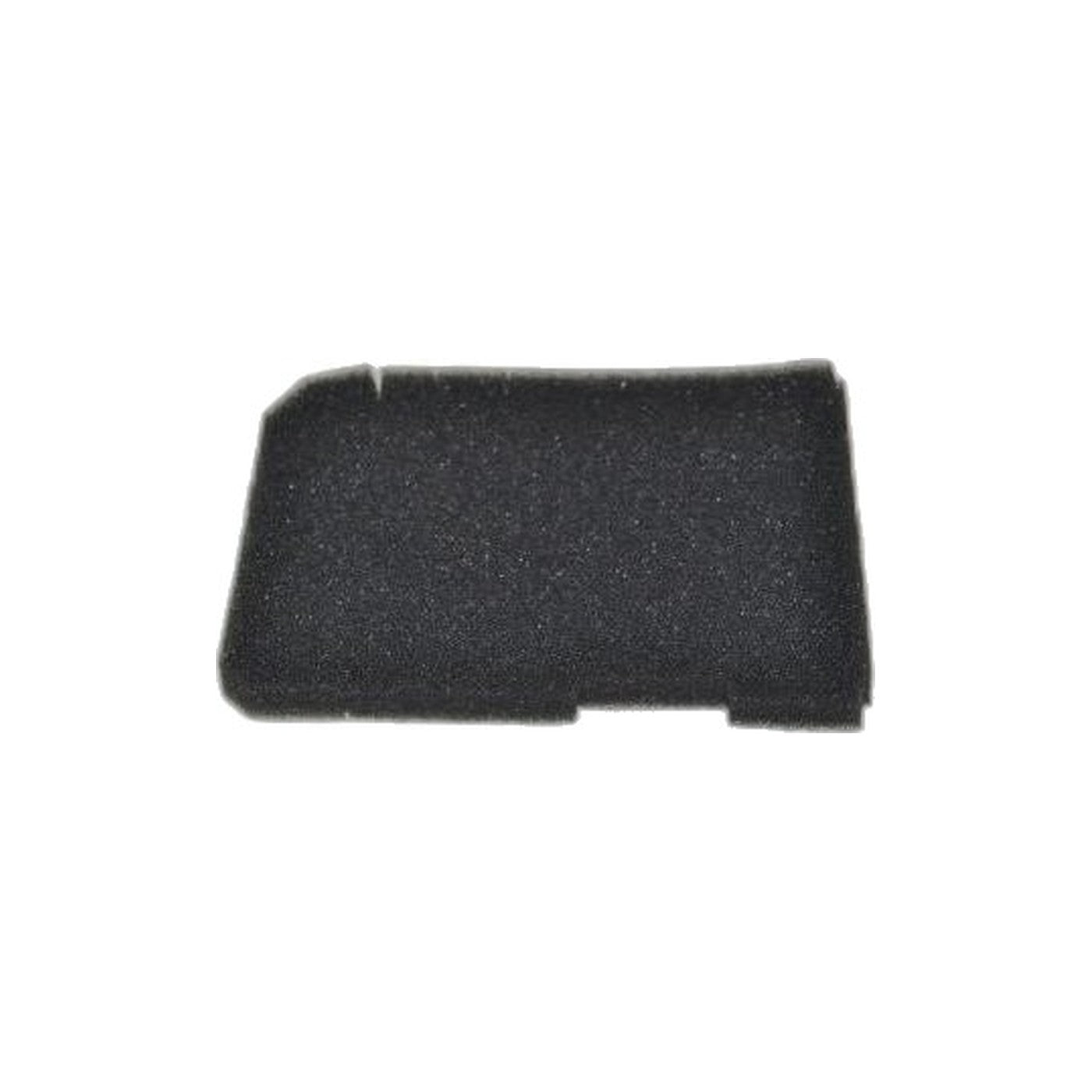 Lux Discovery Upright Vacuum Filter