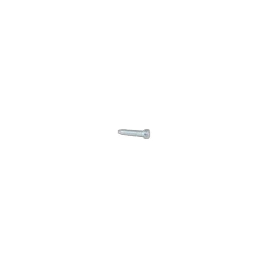 Kirby Bearing Plate/Motor Housing Screw - 10 Pack