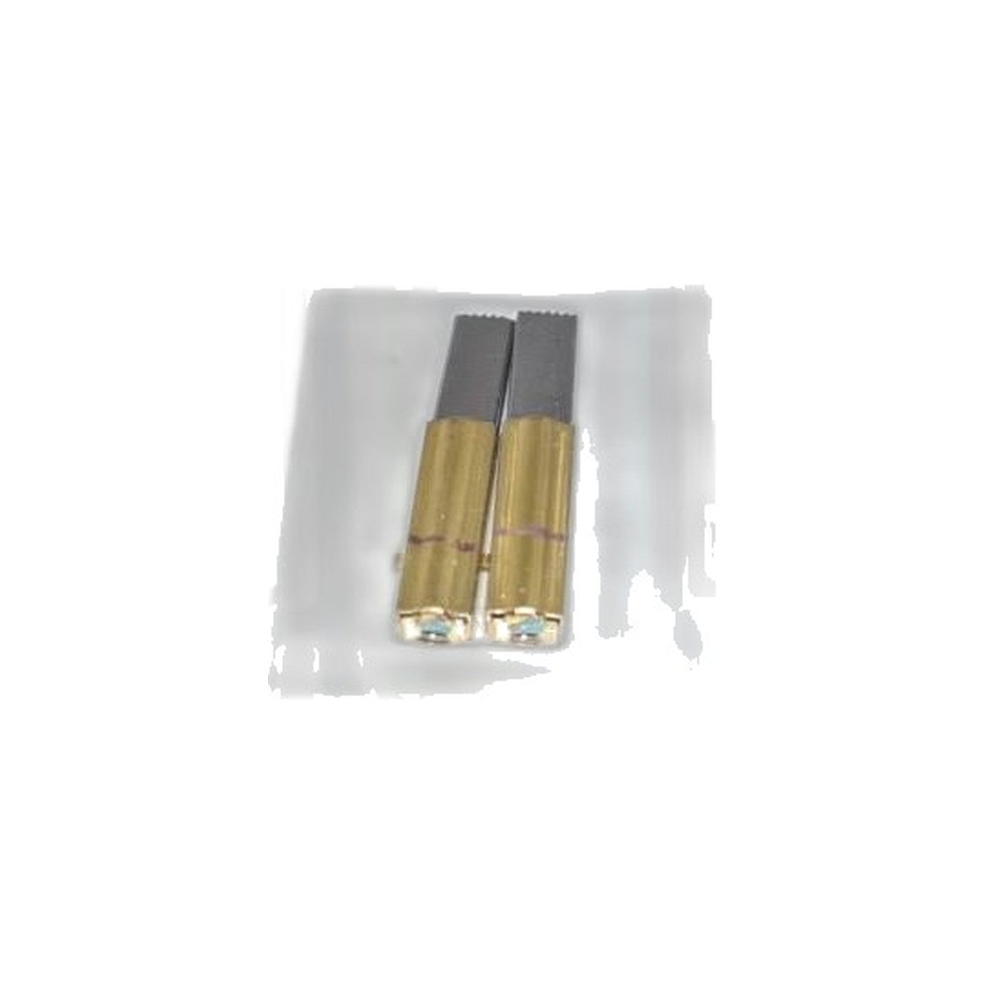 Electrolux Diamond & Plastic Models Motor Carbon Brush, 2-Pack