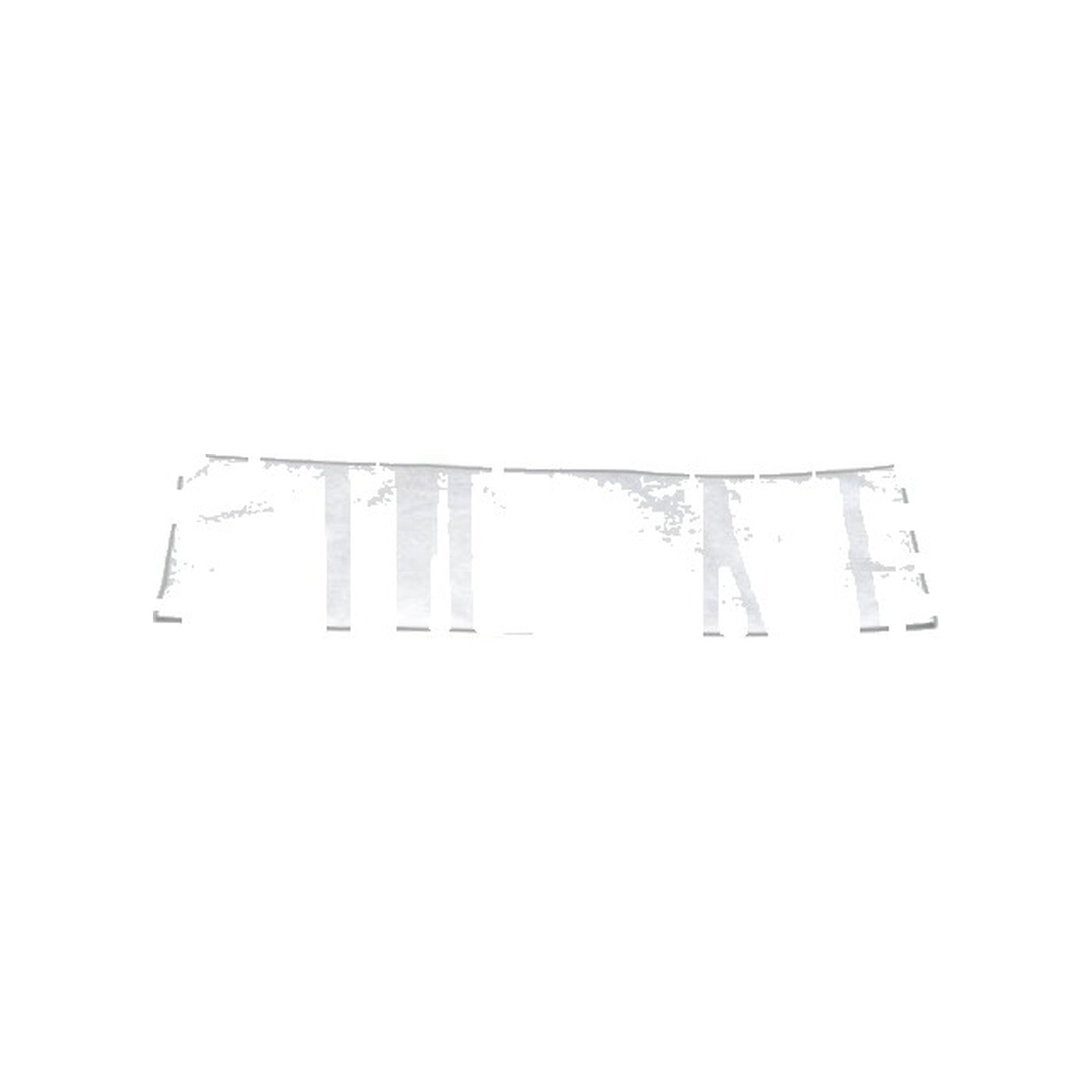 Riccar Vibrance Electrostatic Filter