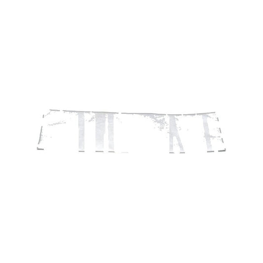 Riccar Vibrance Electrostatic Filter