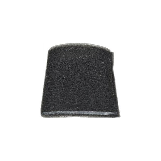 Hoover F5800 Series Steam Vac Sponge Filter