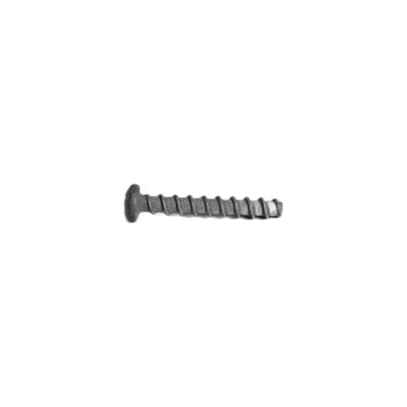 Rainbow Power Nozzle Motor Mounting Screw - 1650C