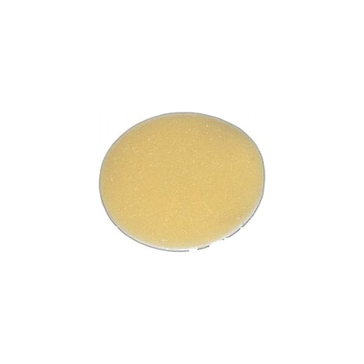 Fuller Brush MBMV Hand Vacuum Secondary Filter