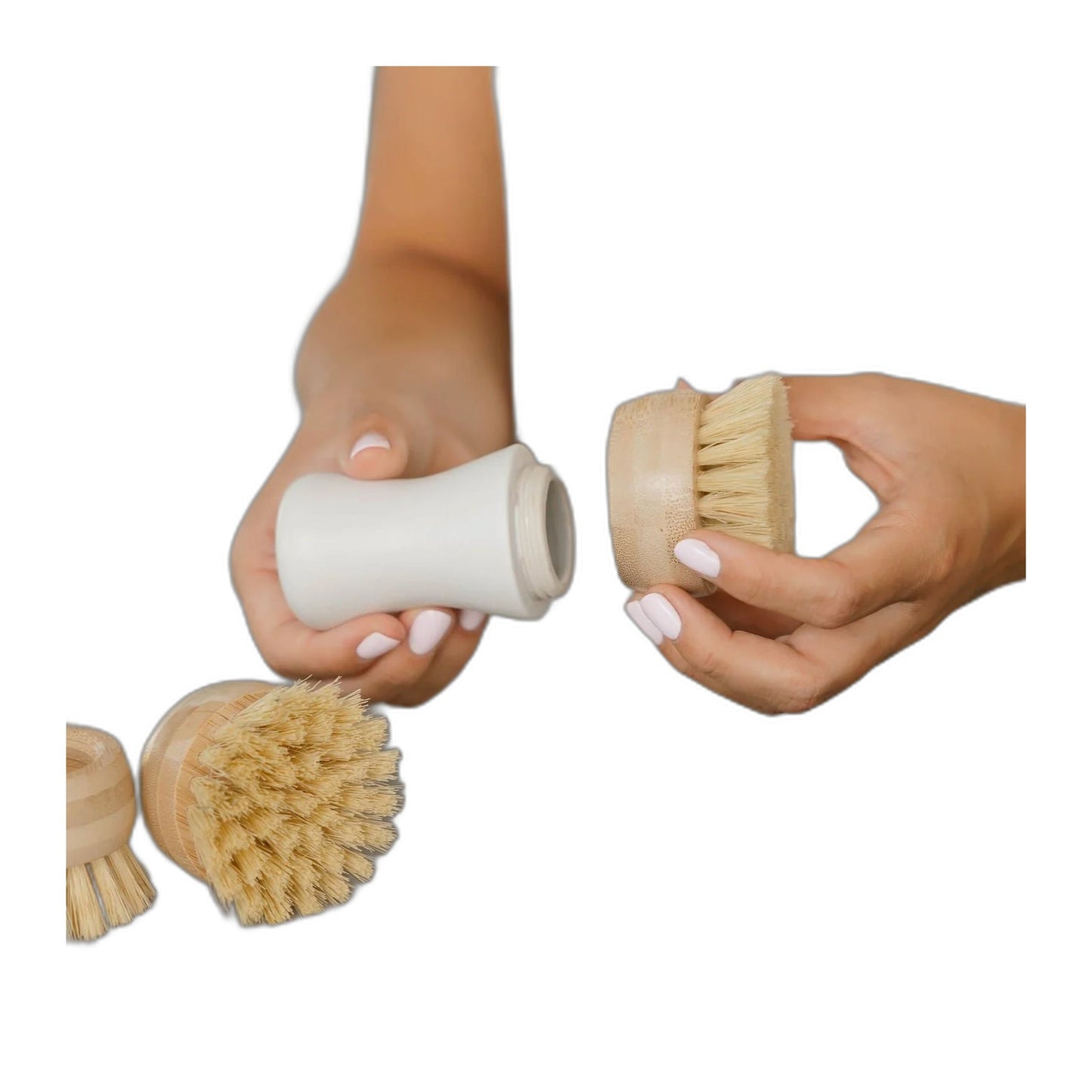Nellie's Forever Brush Replacement Heads, 3 Pack