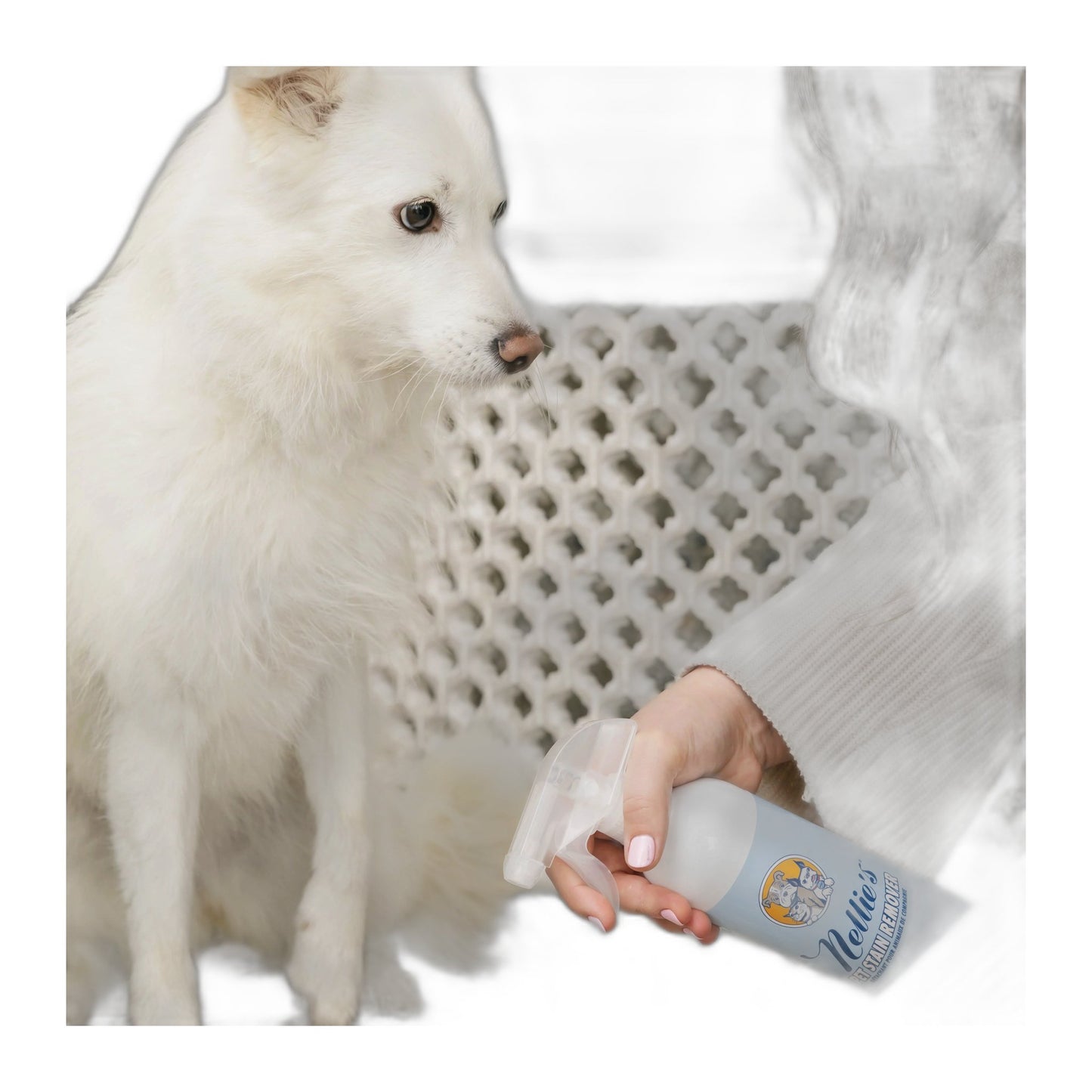 Nellie's Pet Stain and Odour Remover