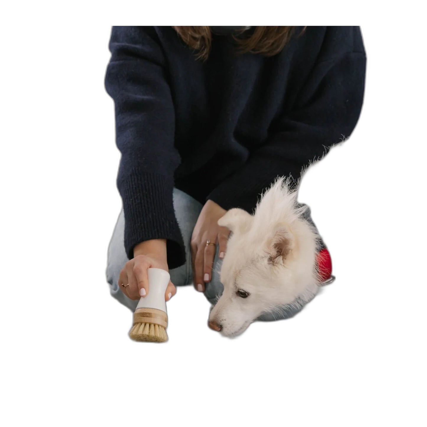 Nellie's Pet Stain and Odour Remover